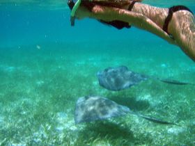 Swimming with manta rays in Belize – Best Places In The World To Retire – International Living